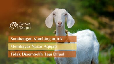 fatwa tarjih sumbangan kambing untuk nadzar aqiqah